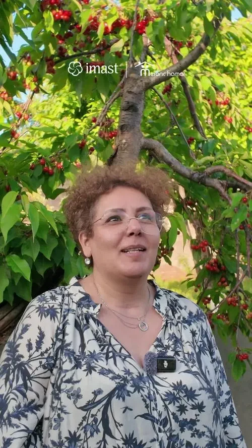 Давайте создадим маленькую ферму для пожилых жителей «Меронц тун»